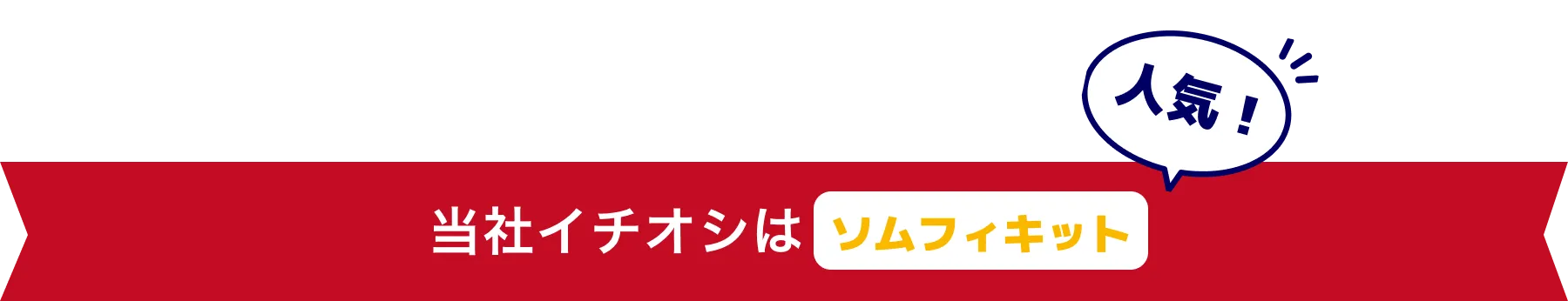 当社イチオシは人気のソムフィキット